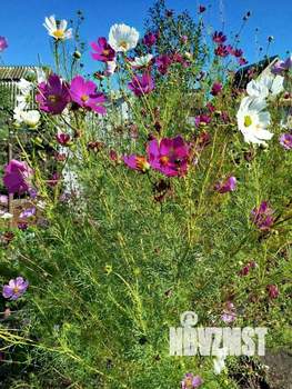 Дом 13м², 1-этажный, участок 4 сот.