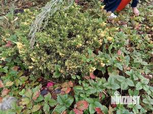 Дом 20м², 2-этажный, участок 8 сот.