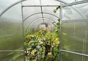 Дом 11м², 2-этажный, участок 5 сот.