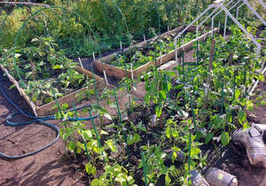 Дом 14м², 1-этажный, участок 4 сот.