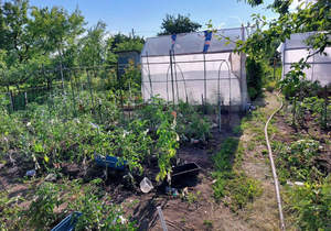 Дом 14м², 1-этажный, участок 4 сот.