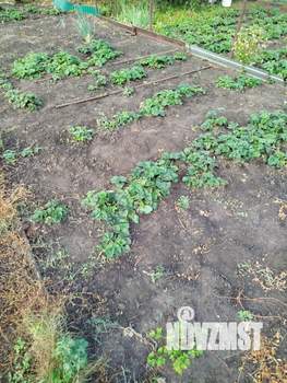 Дом 20м², 1-этажный, участок 4 сот.