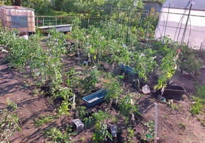 Дом 14м², 1-этажный, участок 4 сот.