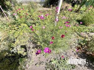 Коттедж 220м², 2-этажный, участок 7 сот.