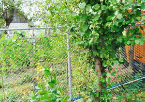 Дом 14м², 1-этажный, участок 4 сот.