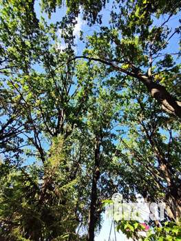 Коттедж 300м², 2-этажный, участок 25 сот.