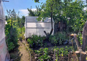 Дом 14м², 1-этажный, участок 4 сот.