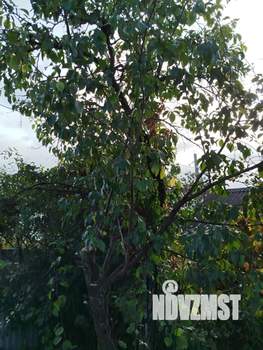 Дом 20м², 1-этажный, участок 4 сот.