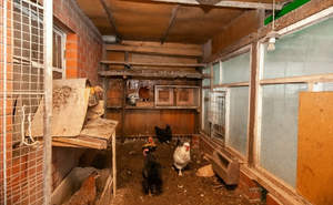 Дом 315м², 3-этажный, участок 6 сот.