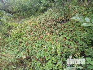 Дом 20м², 2-этажный, участок 8 сот.