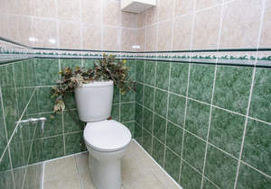 Дом 238м&sup2;, 2-этажный, участок 6 сот.  