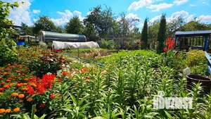 Дом 60м&sup2;, 2-этажный, участок 6 сот.  