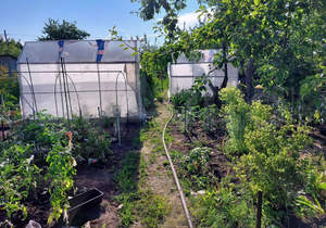 Дом 14м², 1-этажный, участок 4 сот.  