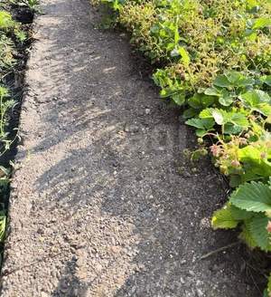 Дом 16м&sup2;, 2-этажный, участок 4 сот.  