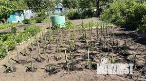 Дом 24м², 1-этажный, участок 4 сот.  