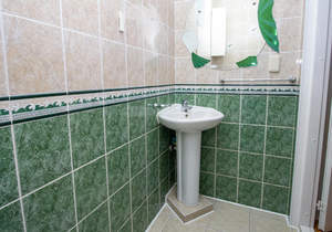 Дом 238м&sup2;, 2-этажный, участок 6 сот.  