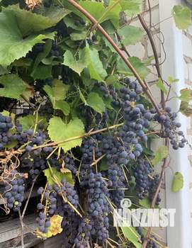 Дом 70м², 2-этажный, участок 11 сот.  