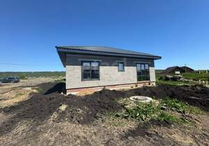 Дом 101м&sup2;, 1-этажный, участок 10 сот.  