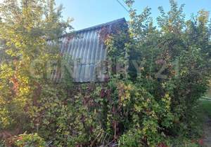 Дом 38м&sup2;, 2-этажный, участок 6 сот.  