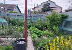 Дом 53м&sup2;, 1-этажный, участок 2 сот.  