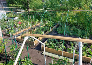 Дом 14м², 1-этажный, участок 4 сот.  