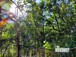 Коттедж 300м², 2-этажный, участок 25 сот.  