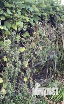 Дом 70м², 2-этажный, участок 11 сот.  