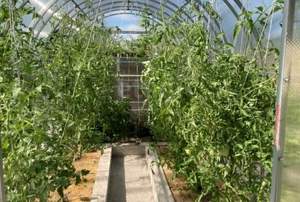 Дом 144м&sup2;, 2-этажный, участок 5 сот.  