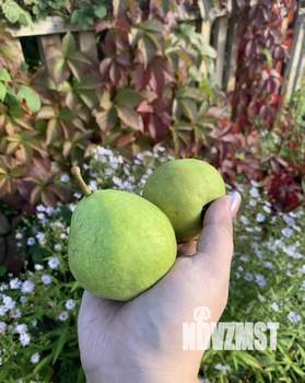 Дом 70м², 2-этажный, участок 11 сот.  