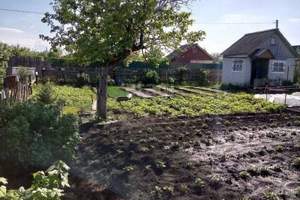 Дача 20м², 2-этажный, участок 5 сот.  