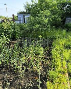 Дом 16м&sup2;, 2-этажный, участок 4 сот.  