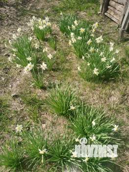 Дом 30м&sup2;, 2-этажный, участок 4 сот.  