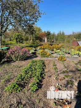 Дом 20м&sup2;, 2-этажный, участок 11 сот.  