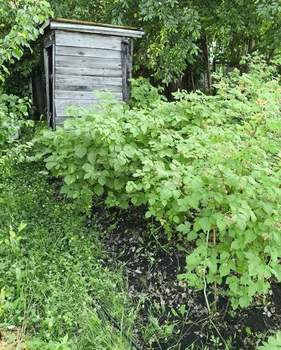 Дом 16м&sup2;, 2-этажный, участок 4 сот.  