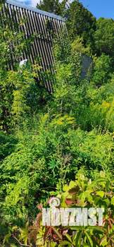 Дом 20м&sup2;, 2-этажный, участок 4 сот.  