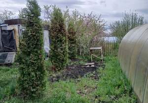 Дом 16м&sup2;, 2-этажный, участок 6 сот.  