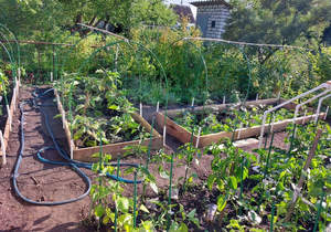 Дом 14м², 1-этажный, участок 4 сот.  