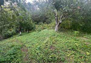 Дом 89м², 1-этажный, участок 5 сот.  