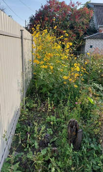 Дом 14м², 1-этажный, участок 4 сот.  