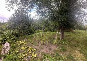 Дом 89м², 1-этажный, участок 5 сот.  