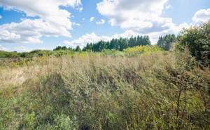 Дом 150м², 1-этажный, участок 26 сот.  