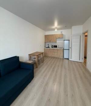 1-к квартира, на длительный срок, 30м2, 17/24 этаж