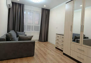 1-к квартира, на длительный срок, 32м2, 2/24 этаж