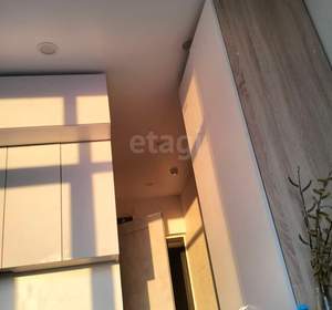 Студия квартира, на длительный срок, 17м2, 13/24 этаж