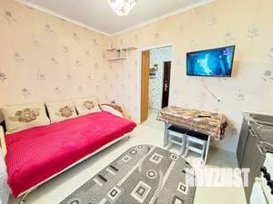 Студия квартира, посуточно, 27м2, 3/3 этаж