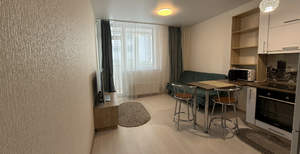 Студия квартира, на длительный срок, 30м2, 14/24 этаж