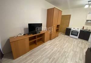 Студия квартира, на длительный срок, 22м2, 23/24 этаж