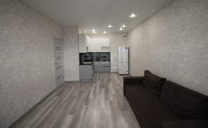 2-к квартира, на длительный срок, 53м2, 20/24 этаж