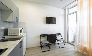 Студия квартира, на длительный срок, 20м2, 7/24 этаж