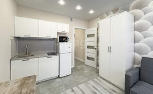 Студия квартира, на длительный срок, 20м2, 3/16 этаж